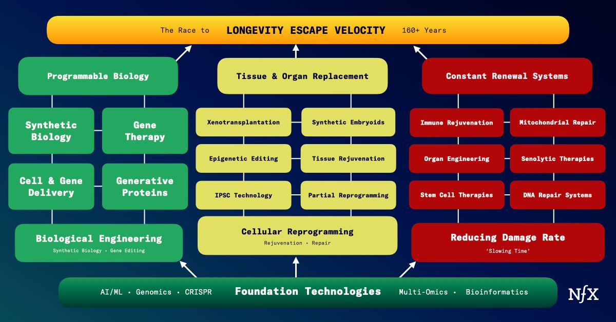 Why Don’t Billionaires Invest In Longevity? NFX