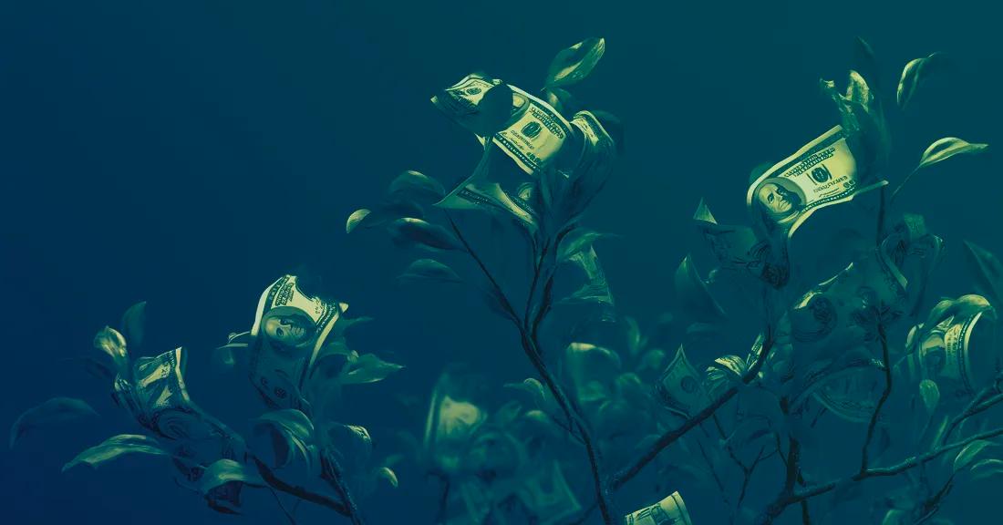 The Seasons of Fundraising from NFX